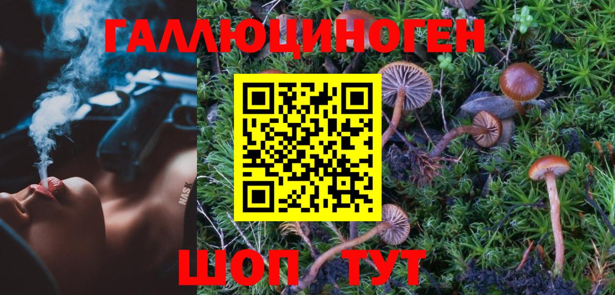 Галлюциногенные грибы мухоморы Красноармейск
